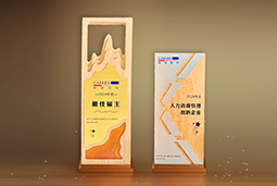 kdpay钱包国际一举斩获“2024年度中国区最佳雇主”等多项大奖