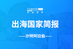 kdpay钱包GO GLOBAL | 沙特阿拉伯国家简报